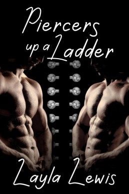 Piercers up a Ladder (Friend of the Piercing Shop, #4)