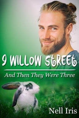 And Then They Were Three (9 Willow Street 1.5)