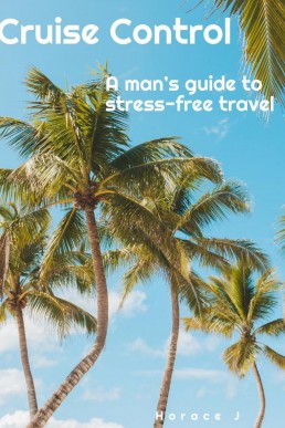 Cruise Control A man's guide to stress-free travel (The Guide, #1)