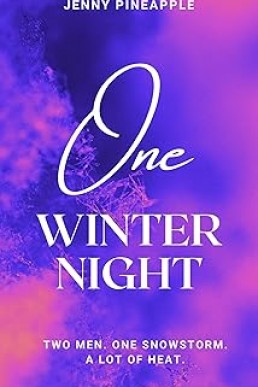 One Winter Night (Dominic & Julian 1)