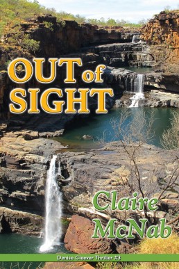 Out of Sight (The Denise Cleever Thriller Series Book 3)