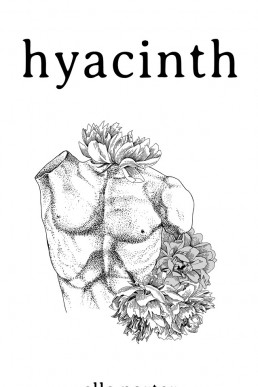 Hyacinth (New Cover)