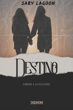 Destino: Camino a la Felicidad (Spanish Edition)