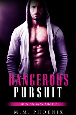 Dangerous Pursuit (Skin on Skin Book 2)