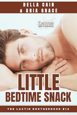 Little Bedtime Snack (The Lactin Brotherhood)