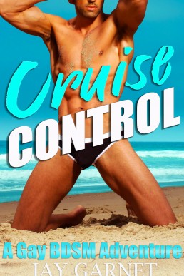 Cruise Control: A Gay BDSM Adventure