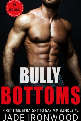 Bully Bottoms: First Time Straight To Gay MM Bundle #1