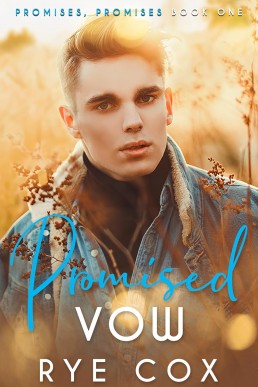 Promised Vow (Promises, Promises 1)