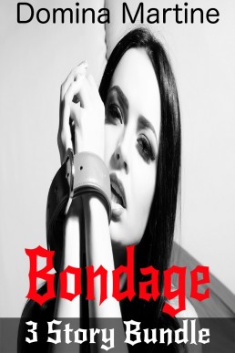 Bondage 3 Story Bundle