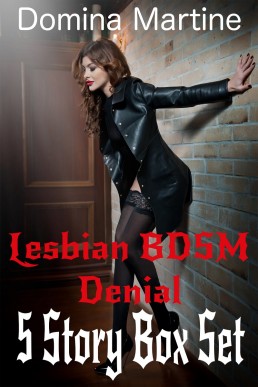 Lesbian BDSM Denial 5 Story Box Set