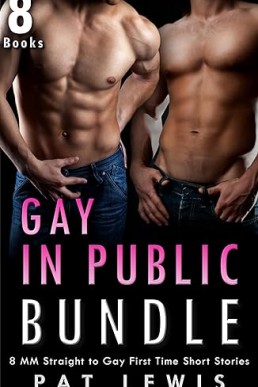 Gay In Public Bundle (Pat's MM Bundles)