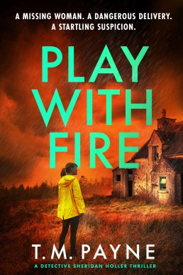 Play With Fire (Detective Sheridan Holler #3)