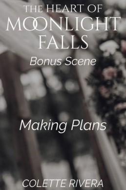 Making Plans (Moonlight Falls 3.1)