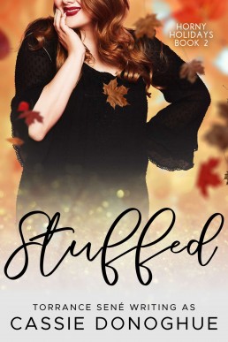 Stuffed (H*rny Holidays Book 2)