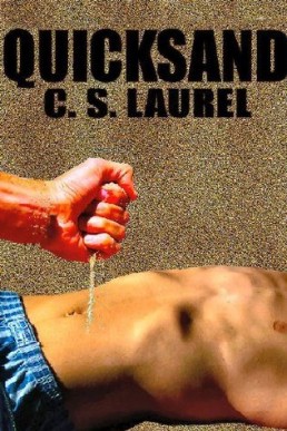 Quicksand (Quick Mysteries 2)