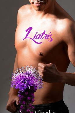 Liatris (Flower Shop Detective 2)
