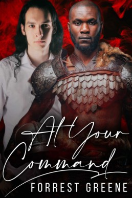 At Your Command (Wizards and Warriors 2)