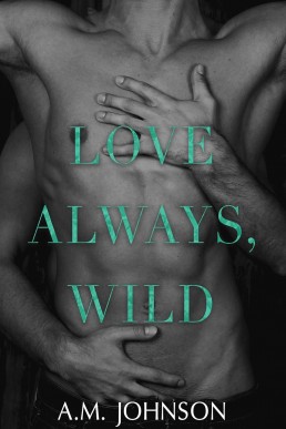 Love Always, Wild (For Him 1) New Cover