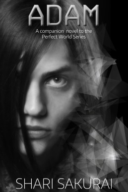 Adam (Perfect World 1.5)