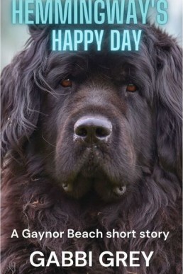 Hemingway's Happy Day (Single Dads of Gaynor Beach short story)