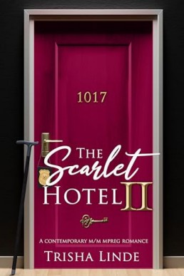 Room 1017 (The Scarlet Hotel 14)