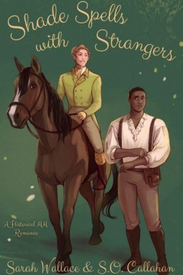 Shade Spells with Strangers (Fae & Human Relations #3)