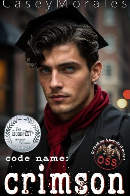 Code Name: Crimson (Of Shadows & Secrets 1) New Cover