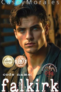 Code Name: Falkirk (Of Shadows & Secrets 2) New Cover