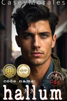 Code Name: Hallum (Of Shadows & Secrets 3) New Cover