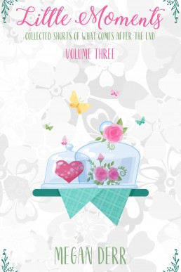 Little Moments (Volume 3)