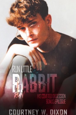 Run Rabbit Run (The District 4.1)