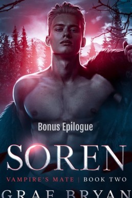 Soren Bonus Epilogue (Vampire's Mate 2.1)