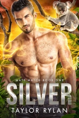 Silver (Mate Match 1)