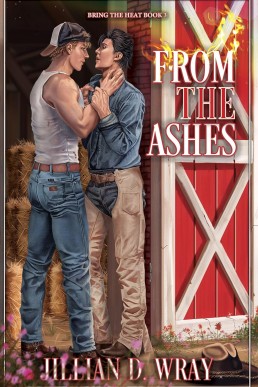 From the Ashes (Bring The Heat 3)