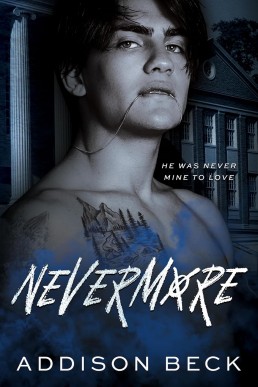 Nevermore (A Cruel Love Duet 1)