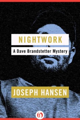 Nightwork (Dave Brandstetter 7)