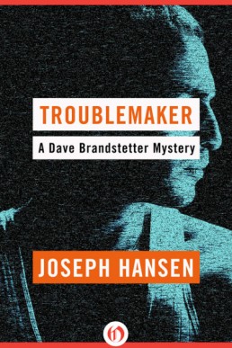 Troublemaker (Dave Brandstetter 3)