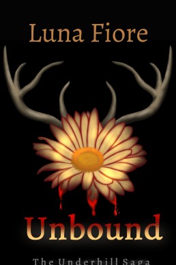 Unbound (The Underhill Saga Book 1)