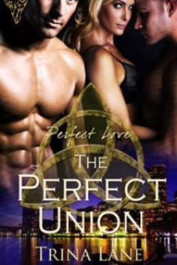The Perfect Union (Perfect Love 1) 2010