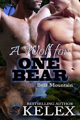 A Wolf for One Bear (Bear Mountain 15)