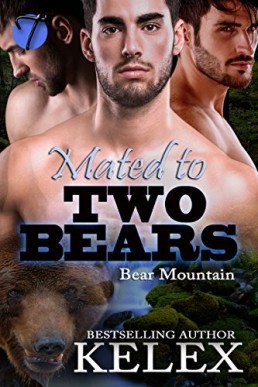 Mated to Two Bears (Bear Mountain 13)