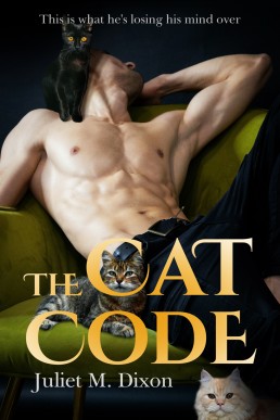 The Cat Code (Straight To Him Book 2)