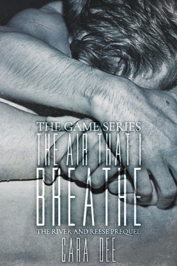 The Air That I Breathe (The Game 3.5)