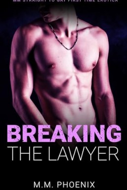 Breaking the Lawyer (Straight No More 4)