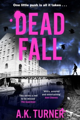 Dead Fall (Cassie Raven Mysteries Book 4)