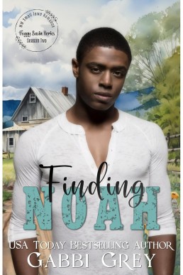 Finding Noah (Foggy Basin Season 2)