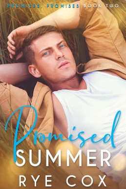 Promised Summer (Promises, Promises 2)
