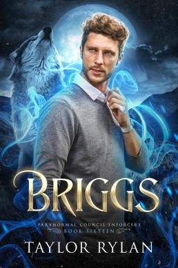 Briggs (Paranormal Council Enforcers 16)