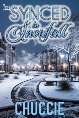 Synced In Snowfall