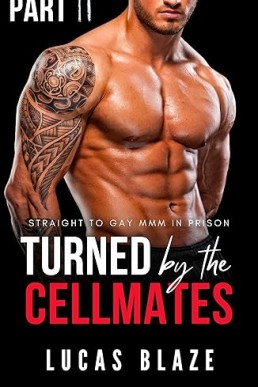 Turned By The Cellmates Part 2 (Gay Shorts MMM+)